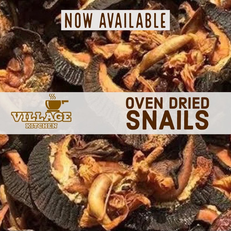 Oven Dried Large Snails Igbin 12pcs Per Pack Etsy