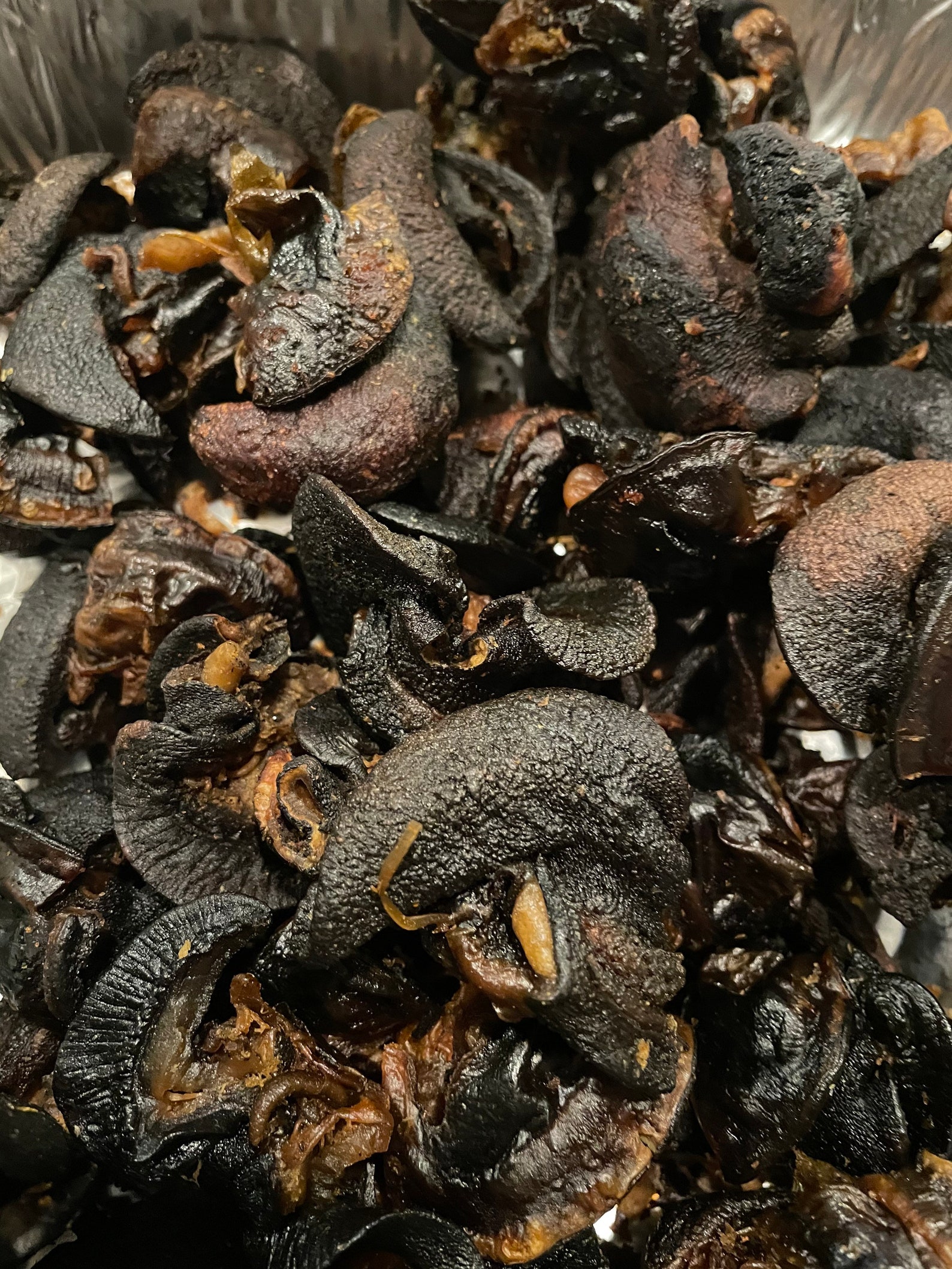 Oven Dried Large Snails Igbin 12pcs Per Pack Etsy