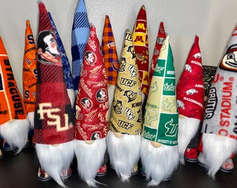 College Team Gnomes