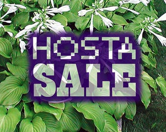 Hostor - Green Leaf Large [**MÅSTE köpa 3 eller fler]