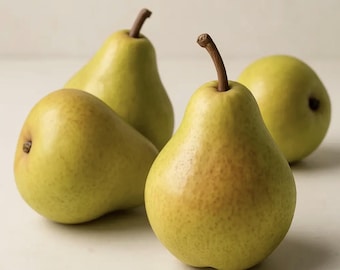 Paquete de 5 esquejes de pera (madera de vástago para injertar)