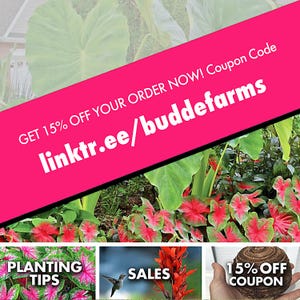 The image is a promotional advertisement for a gardening store, featuring various images of plants, flowers, and gardening tips. The text on the image includes a 15% discount offer and a coupon code, as well as images of a hand holding a plant and a bird.