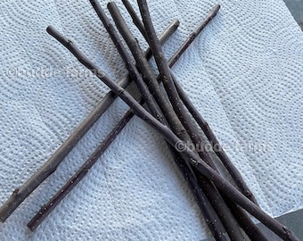 Scion wood for grafting - Fruit tree cuttings: Belle of Georgia and Flamin' Fury Peach