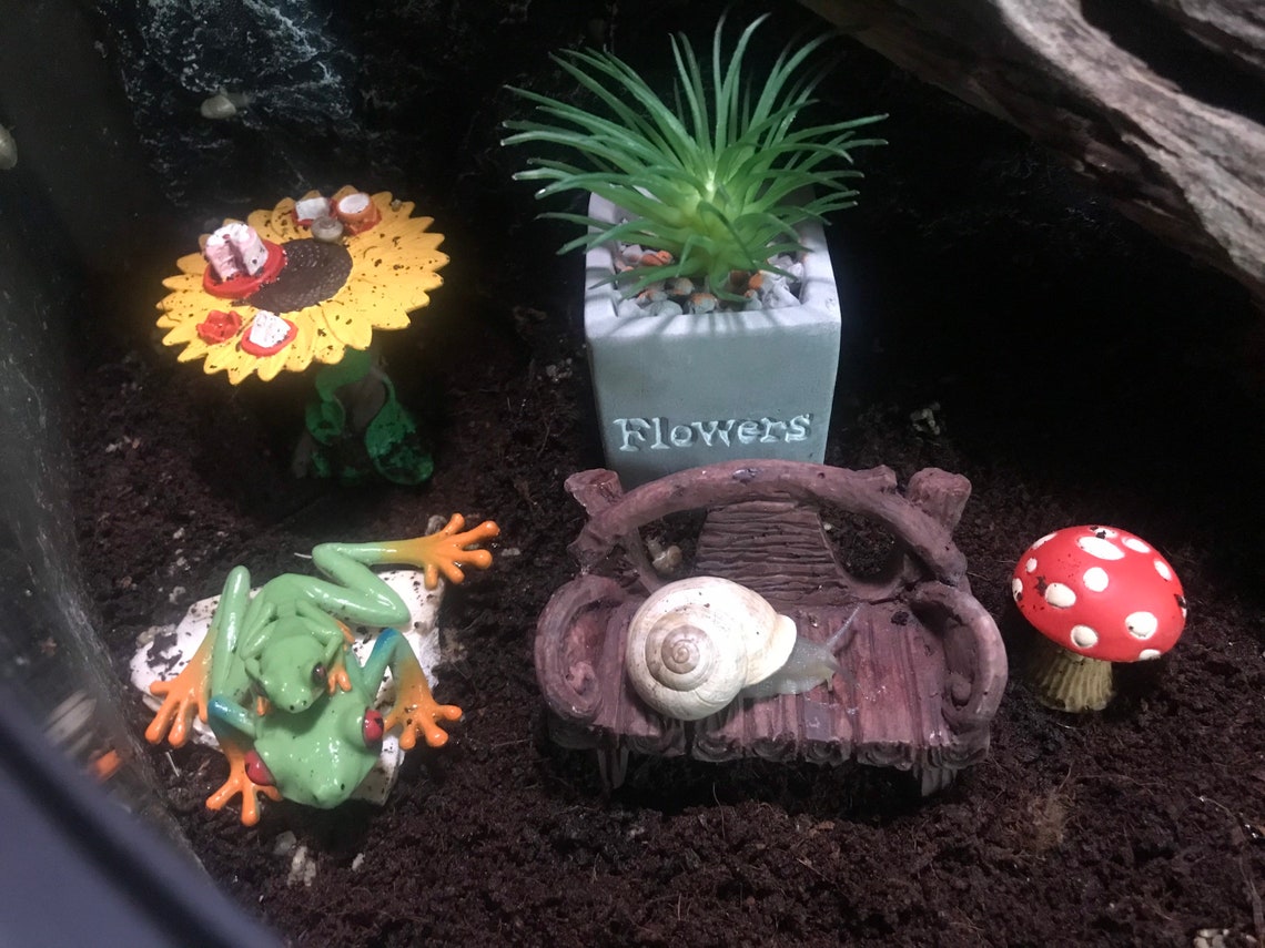 Snail bench/terrariums/snails Etsy