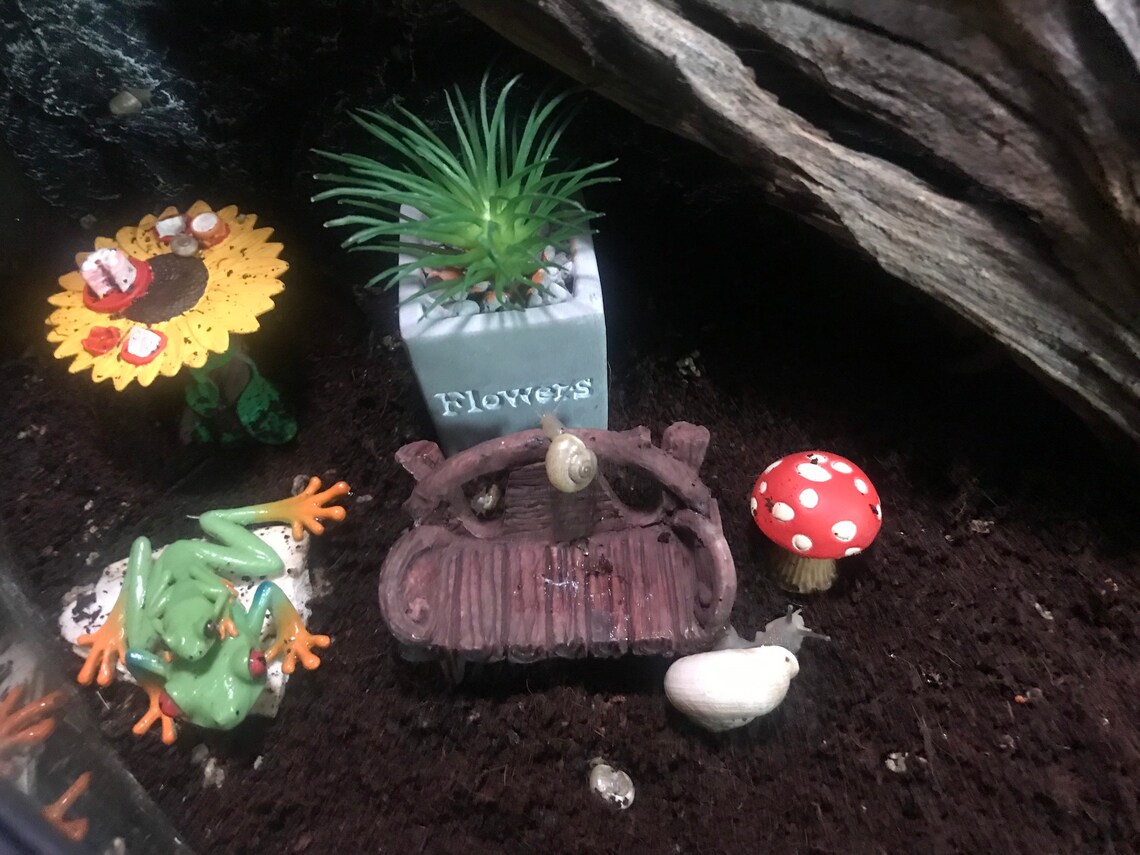Snail bench/terrariums/snails Etsy
