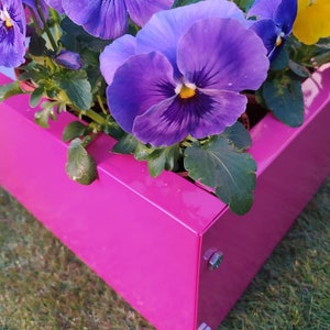 May include: A pink metal planter box with purple and yellow pansies growing inside. The planter is sitting on a green grassy surface.