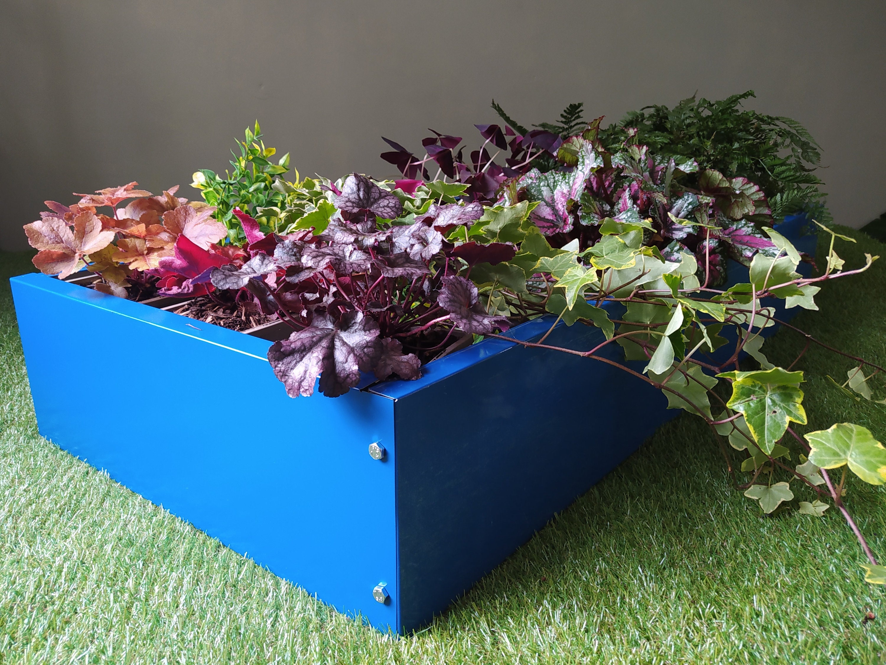 Blue Metal Garden Raised Bed Kit, 100cm X 50cm Etsy UK