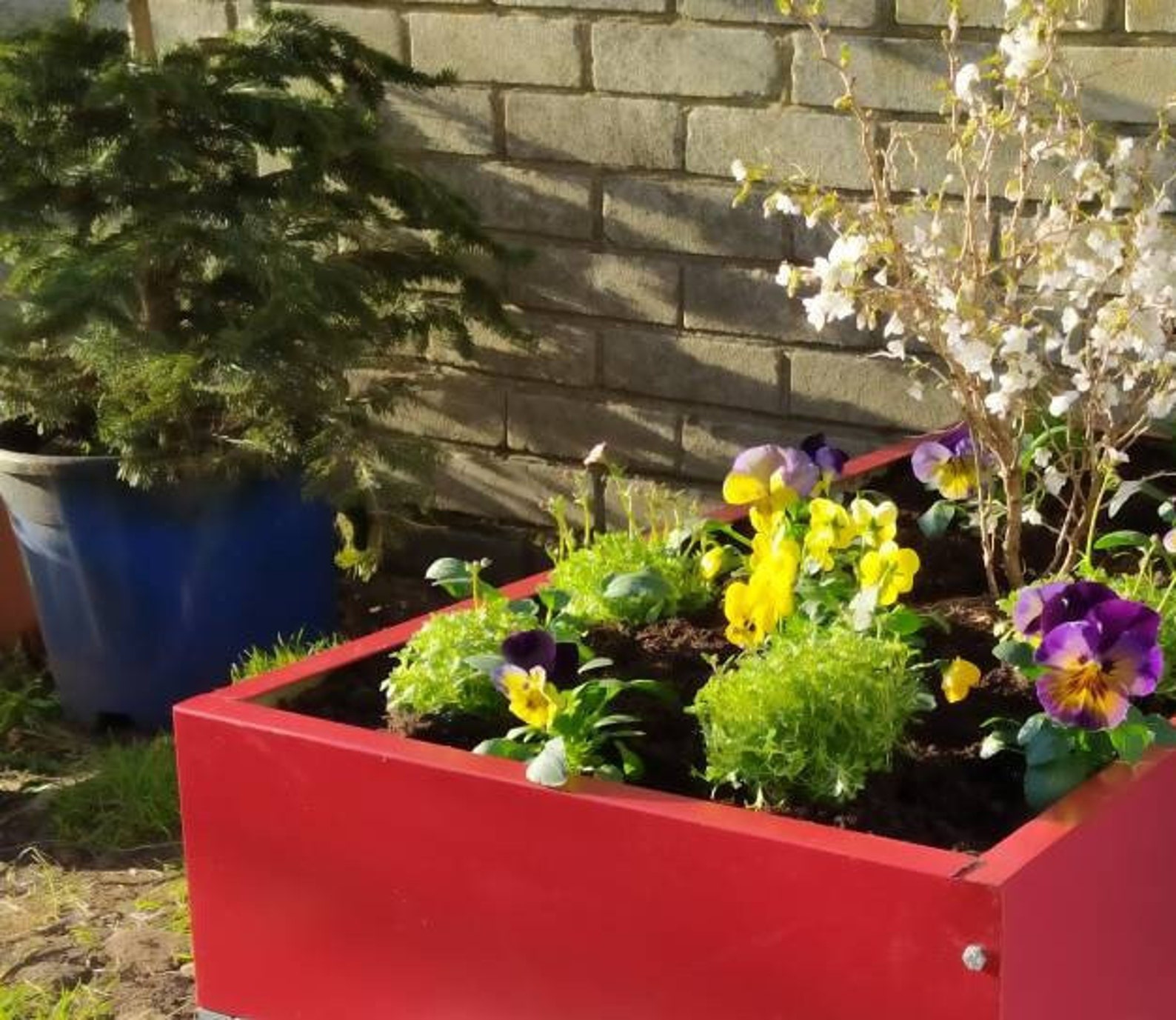 Red Metal Garden Raised Bed Kit 100cm X 50cm Etsy