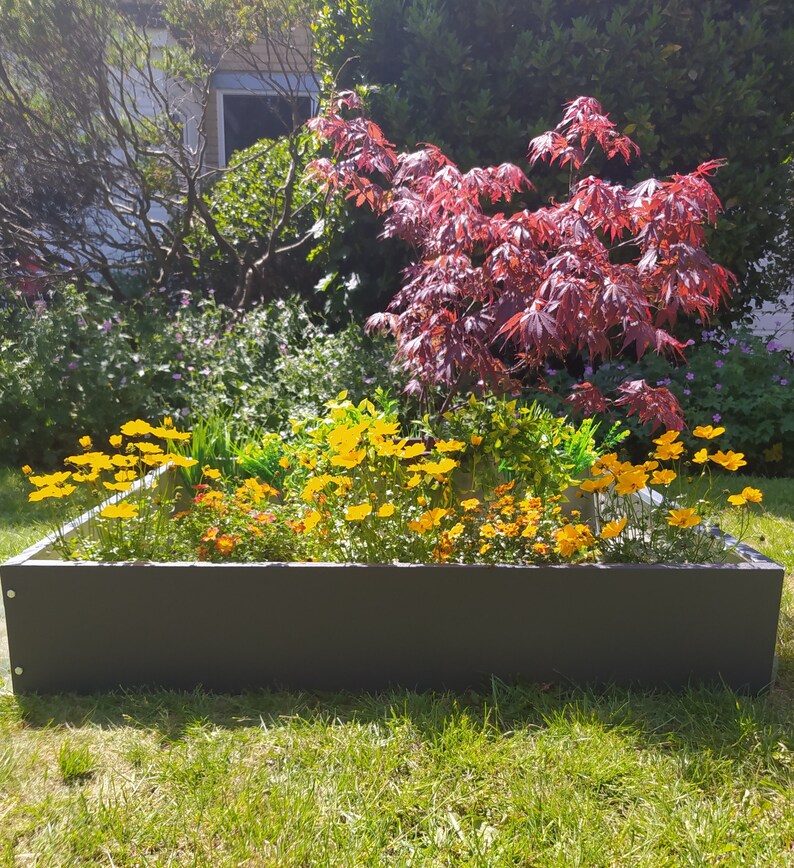 Dark Gray Metal Garden Raised Bed Kit 100cm X 100cm RAL Etsy