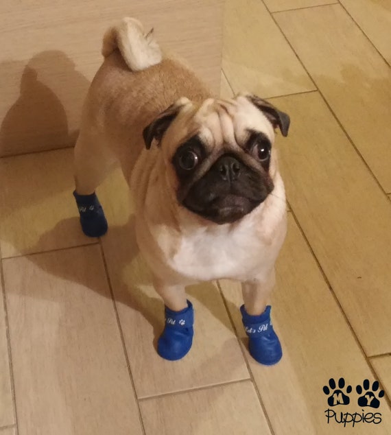 pugs boots