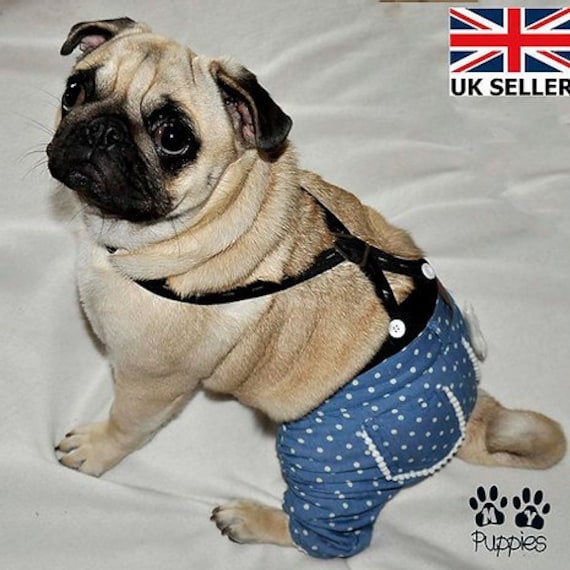 Pug jeans clearance