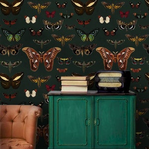 Dark Botanical Butterfly Wallpaper Colorful Butterflies Wall Mural  Vintage Moth Peel and Stick