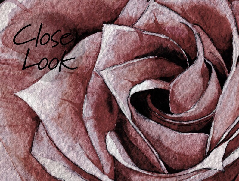 May include: Close-up of a deep red rose with a textured, watercolor-like appearance. The petals are tightly curled, creating a spiral effect.