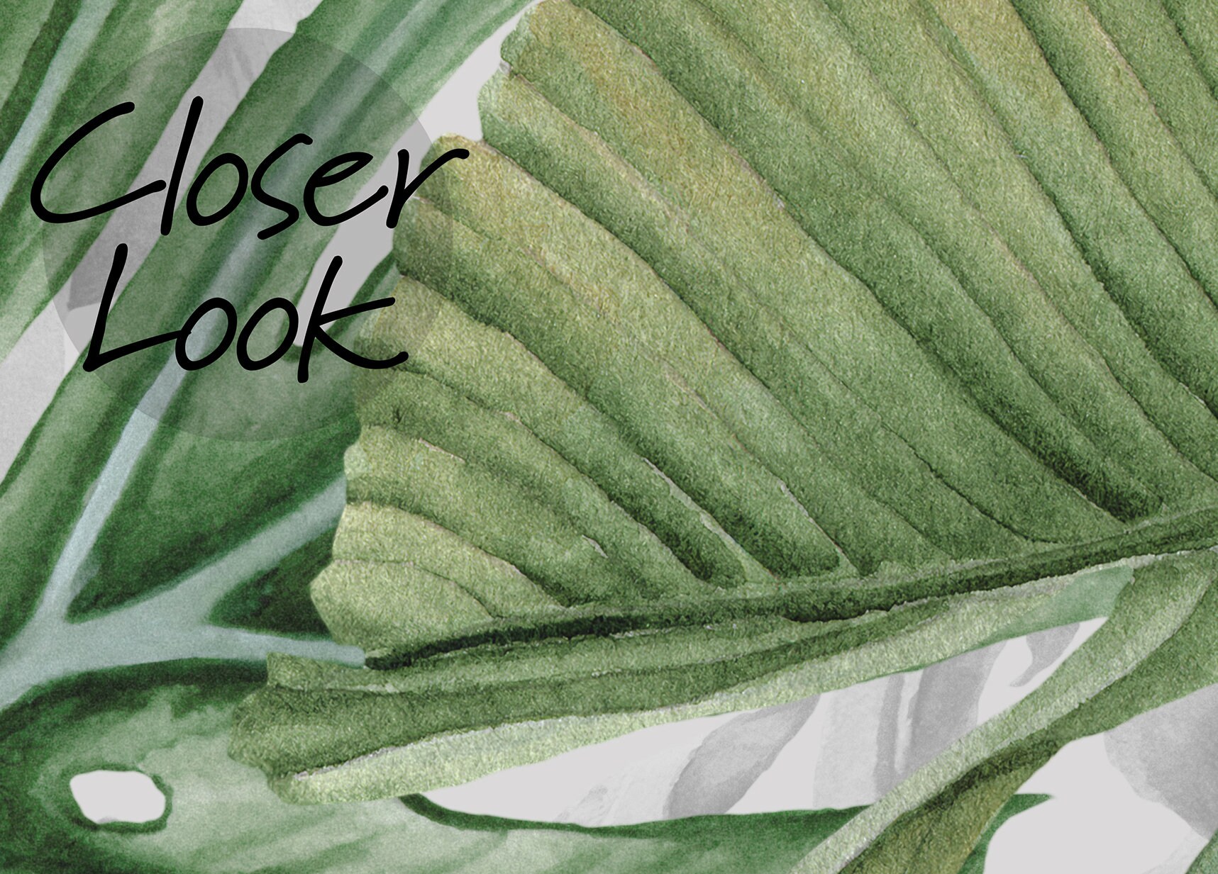 Leaf Wallpaper Peel and Stick Watercolor Tropical Leaves Wall Mural ...