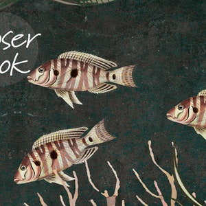Puede incluir: Tres peces de rayas marrones y blancas con manchas negras nadan en un fondo azul oscuro con corales y plantas verdes. El texto "Closer Look" est&aacute; escrito en blanco sobre un c&iacute;rculo blanco.