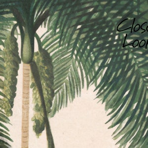 Vintage Landscape Wallpaper Vintage Historical Scenic Wall - Etsy
