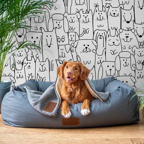 Why Do Dogs Face The Wall