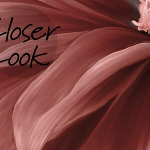 Puede incluir: Primer plano de una flor roja con p&eacute;talos suaves y con aspecto de pinceladas. Los p&eacute;talos son de un rojo intenso con reflejos rosados m&aacute;s claros. El centro de la flor no es visible en la imagen.
