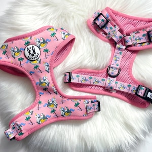 Beach Bum Shark Print Soft Neoprene Adjustable Dog Harness | PUPPERZ
