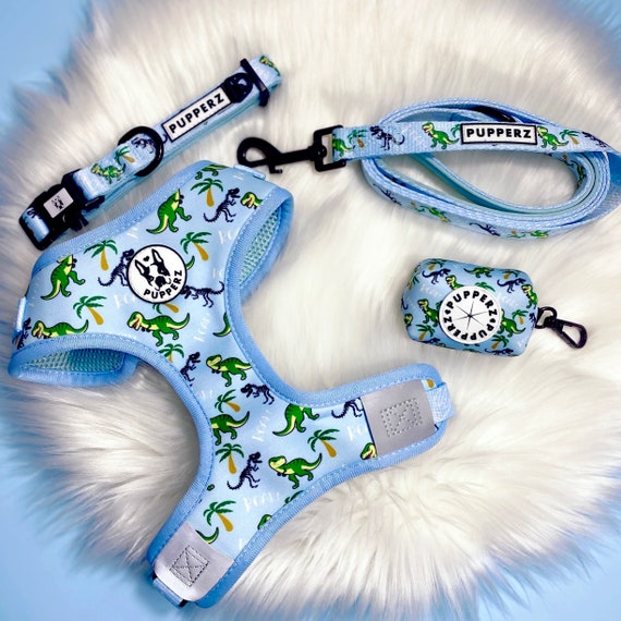 Blue dog sales harness and lead