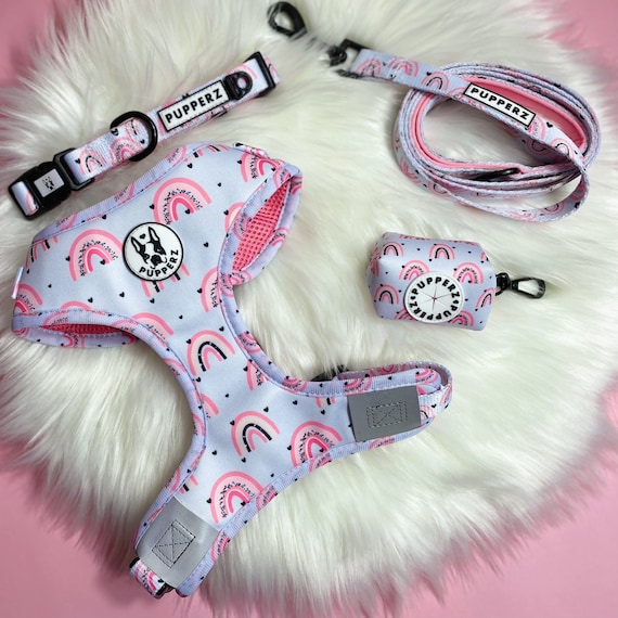 Rainbow Adjustable Dog Harness Set, Cute Puppy Harness for Small and Medium Dogs, Pink Dog Collar & Leash Set, Girly Dog Accessories