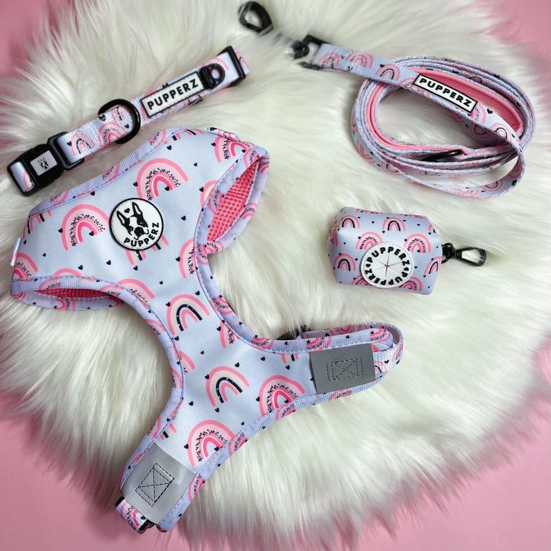 May include: A pink and blue dog harness with a rainbow pattern and the word "Pupperz" on it. The harness is paired with a matching leash and poop bag holder.