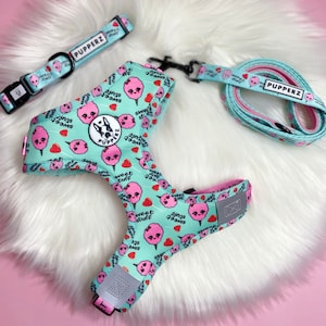 Sweet Stuff Cute Pink Blue Cotton Candy Heart Lollipop Dog Collar, Neoprene Adjustable Dog Harness Set, Dog Lead Set | PUPPERZ
