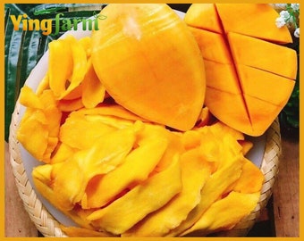 Yingmart 17.63oz (1.1lbs) Soft Dried Mango No Sugar Added | Organic Dehydrated Juicy Mango