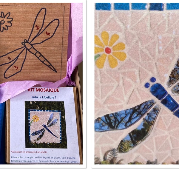 Kit mosaïque libellule DIY adulte enfant, kit d’art creatif décoration murale ou dessous de plat, idée cadeau Noël pour femme enfant amie