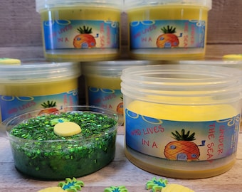 Who Lives in A Pineapple Under The Sea?