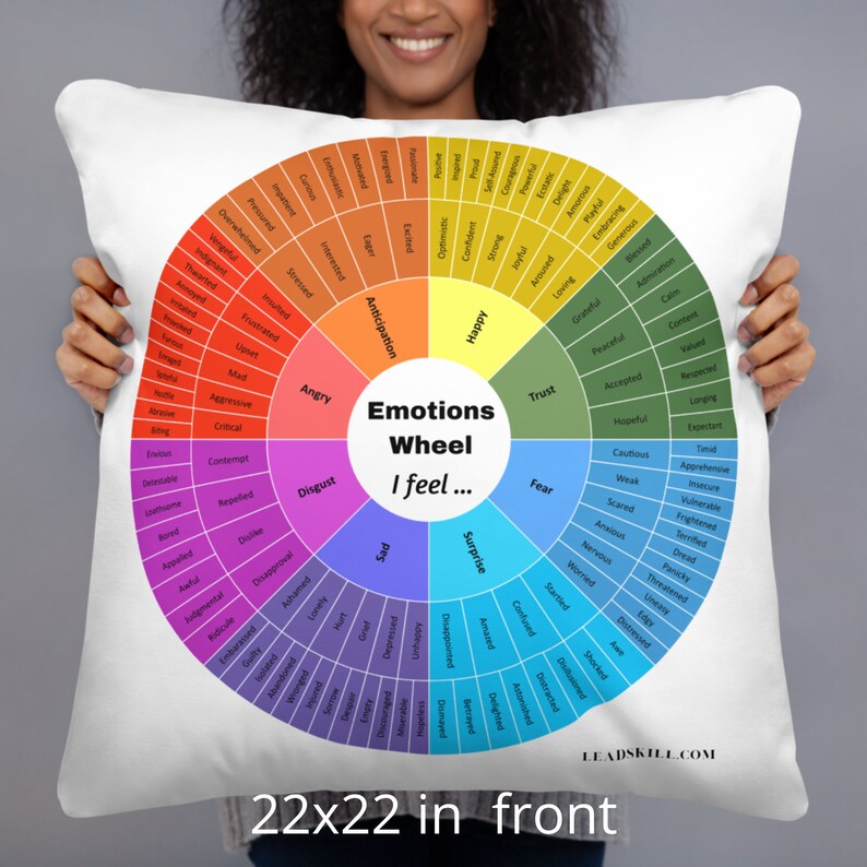 Emotion Wheel Pillow Comfy Feelings Wheel Pillow to Name EMOTIONS CBT
