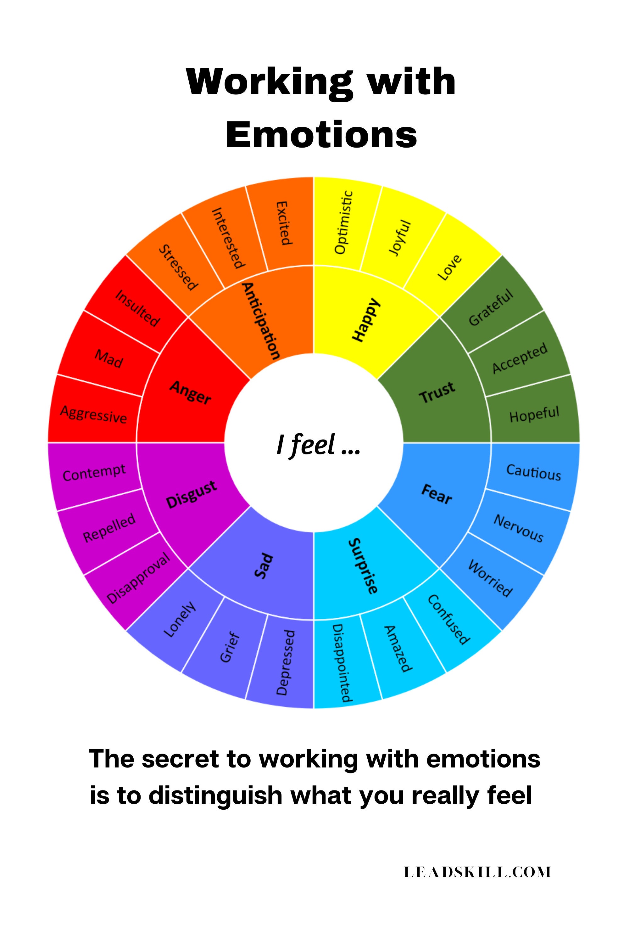 dbt emotion wheel