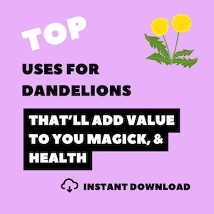 Dandelions File : Uses, and Properties | Witch Print, Witchcraft, Witch, Witchy, Witchy Gifts, Witchcraft Supplies, Witchcraft Kit