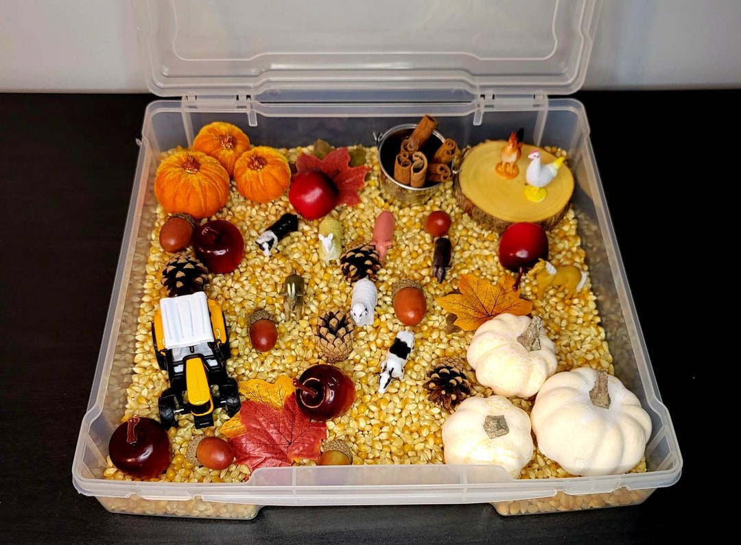 Harvest Sensory Play Bin