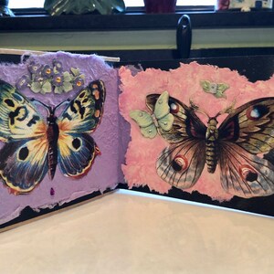 Accordion Book - Butterfly