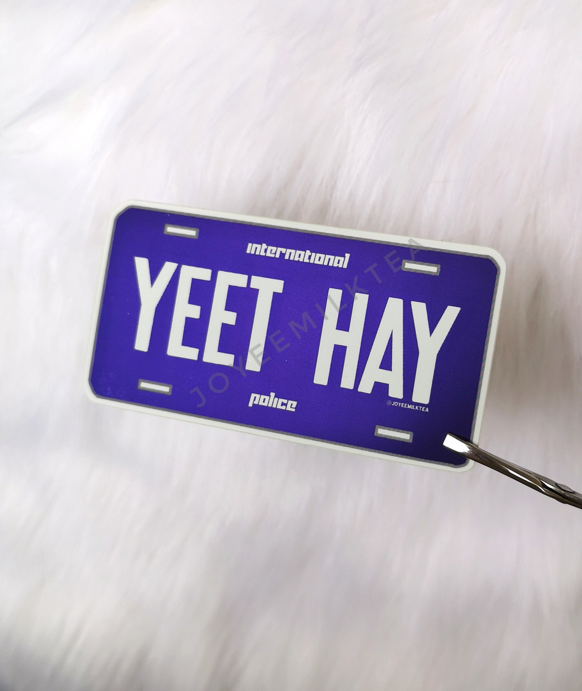 International Yeet Hay Police Number Plate Matte Mirror Etsy