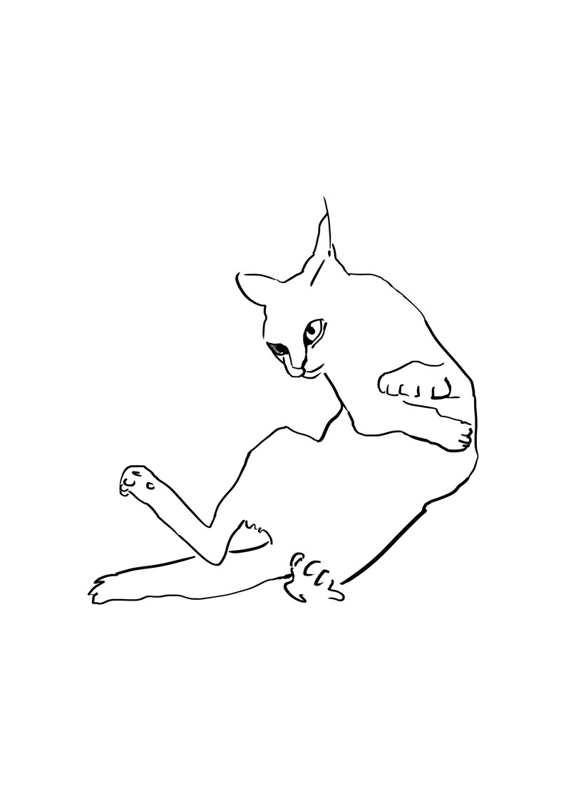 line figure art