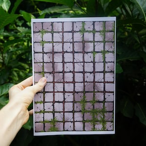Puede incluir: Una hoja impresa con un patrón de baldosas de piedra y acentos de plantas verdes. El diseño consiste en una cuadrícula de baldosas cuadradas en tonos grises y marrones, con vegetación verde en las grietas. La hoja se sostiene contra un fondo de follaje verde.