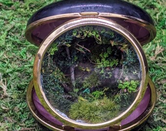 Appalachian Mountain Stream Landscape in a Repurposed Travel Alarm Case, Diminutive Handmade Diorama.  Take some beauty with you.