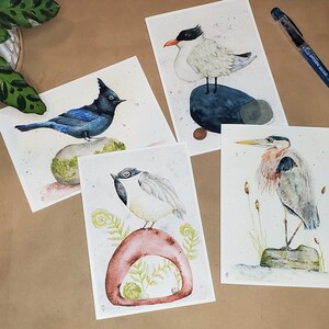 Collection de cartes de voeux pour oiseaux du nord-ouest du Pacifique
