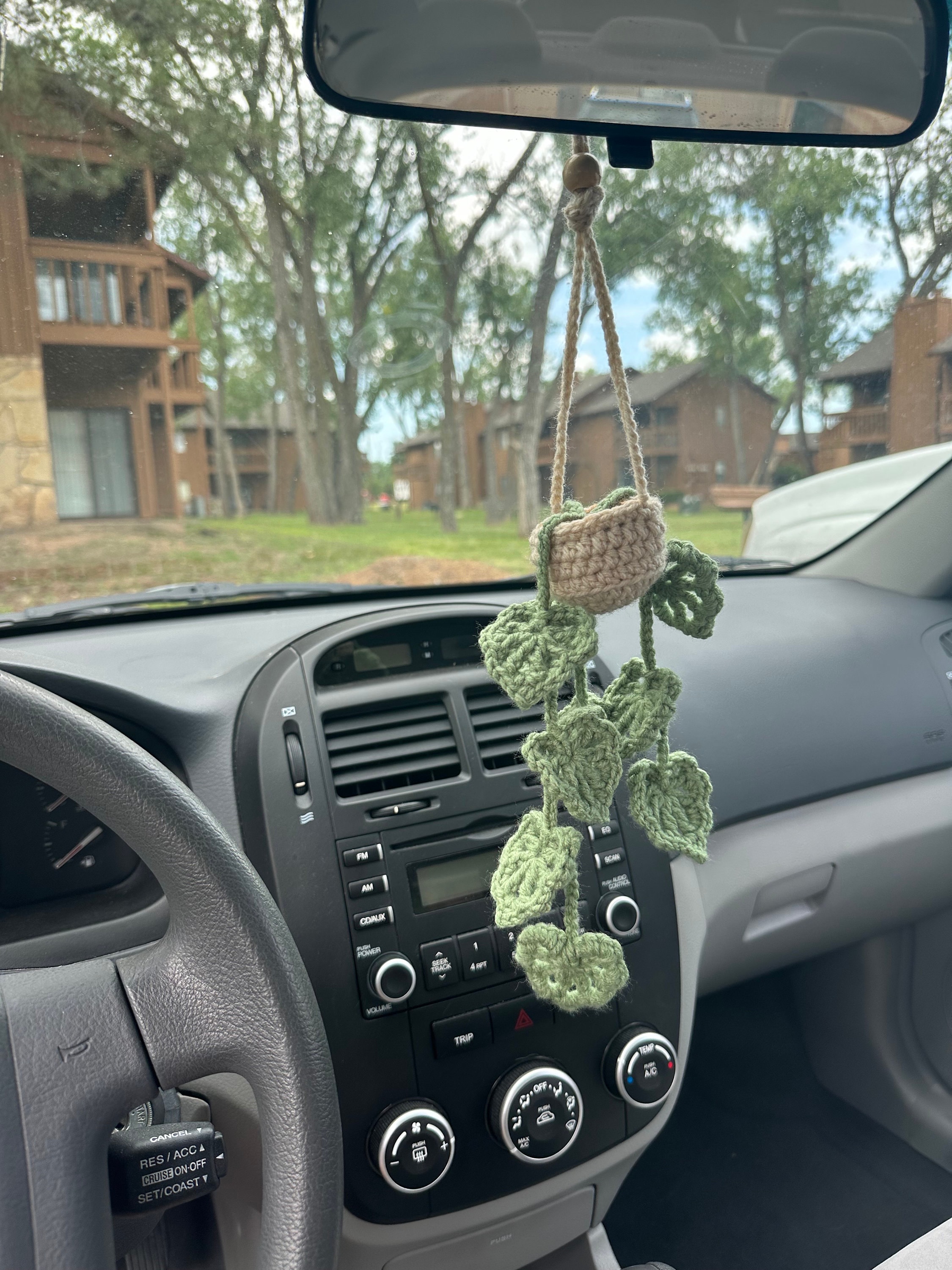 Crochet Rearview Mirror Plant Hanging