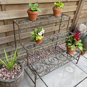 May include: A three-tiered metal plant stand with a decorative scroll design. The stand is painted in a distressed green finish and has three shelves for displaying potted plants. The stand is shown with four potted plants, including a primrose, a succulent, and two other plants.