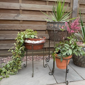 May include: Three potted plants on metal stands. The plants are in terracotta pots with a white and brown design. The stands are black metal and have a decorative scroll design.