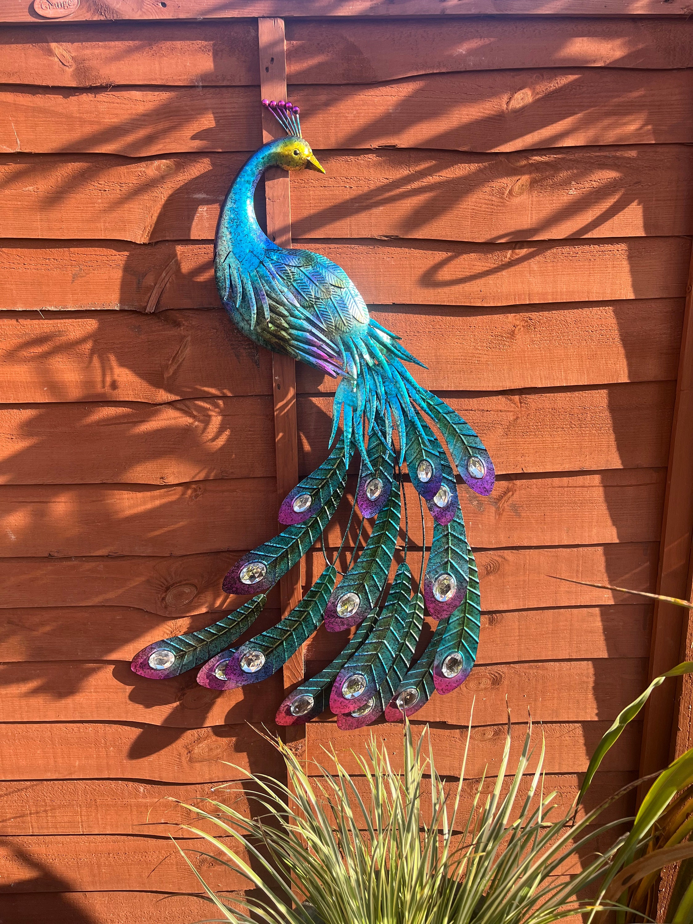 ★Original ART  ‘Peacock’ Amazon.com: ZXHYWYM Peacock Wall Art 2 Pieces Blue Peacock