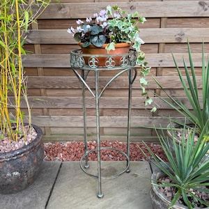May include: A green metal plant stand with a round top and ornate details. The stand is holding a terracotta pot with a flowering plant and a trailing ivy plant.