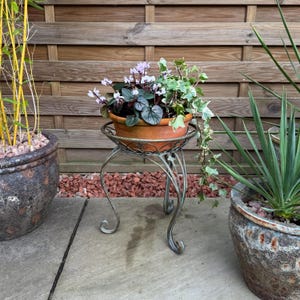 May include: A metal plant stand with a decorative scroll design, holding a terracotta pot with a pink and white flowering plant and green ivy. The stand is on a grey stone patio.
