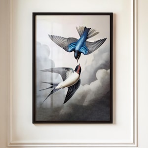 Vintage Swallow Art Print | Elegant Cottagecore Bird Illustration | Retro Wall Decor for Home | Museum Giclée