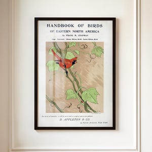 Muurkunst inheemse vogels van Noord-Amerika | Vintage botanische natuurprint | Poster Handboek met vogels