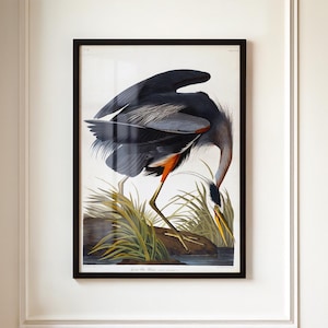 Great Blue Heron Water Art | Vintage Bird Wall Decor | Coastal Nature Poster | Wildlife Bird Print | Rustic Home Decoration
