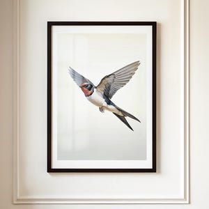 Vintage Swallow Print | Bird Art Framed Canvas | Vintage Prints Wall Art | Audubon Bird Print | Vintage Animal Prints | House Sparrows